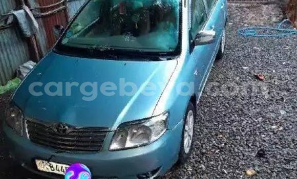 Buy Used Toyota Corolla Blue Car in Addis–Ababa in Ethiopia Buy Used Toyota Corolla Blue Car in Addis–Ababa in Ethiopia