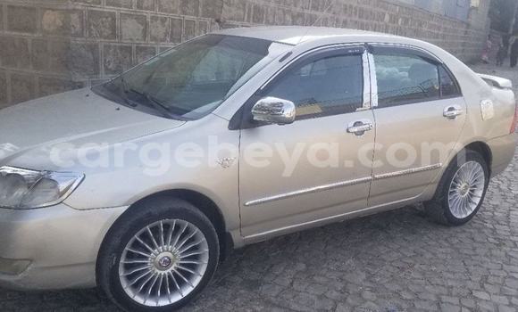 Buy Used Toyota Corolla Beige Car in Addis–Ababa in Ethiopia Buy Used Toyota Corolla Beige Car in Addis–Ababa in Ethiopia