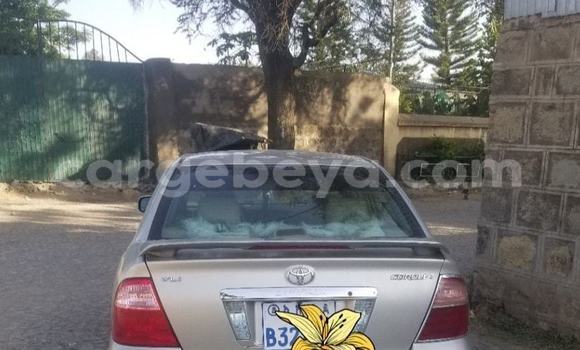 Buy Used Toyota Corolla Beige Car in Addis–Ababa in Ethiopia Buy Used Toyota Corolla Beige Car in Addis–Ababa in Ethiopia