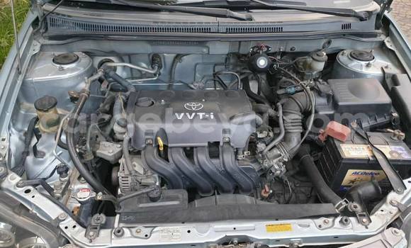 Buy Used Toyota Corolla Silver Car in Addis–Ababa in Ethiopia Buy Used Toyota Corolla Silver Car in Addis–Ababa in Ethiopia