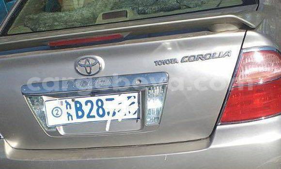 Buy Used Toyota Corolla Silver Car in Addis–Ababa in Ethiopia Buy Used Toyota Corolla Silver Car in Addis–Ababa in Ethiopia