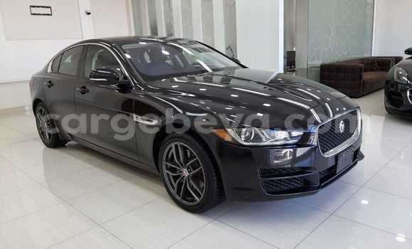 Buy Used Jaguar XE Black Car in Addis–Ababa in Ethiopia