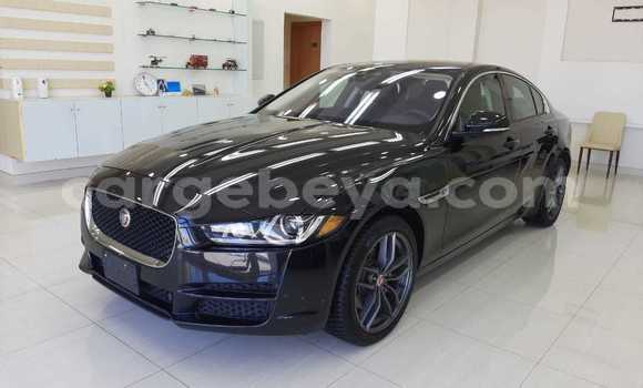 Buy Used Jaguar XE Black Car in Addis–Ababa in Ethiopia Buy Used Jaguar XE Black Car in Addis–Ababa in Ethiopia