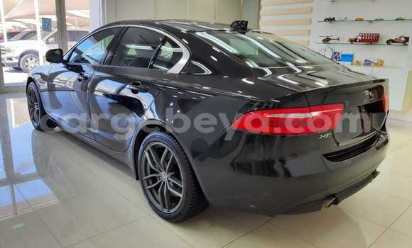 Buy Used Jaguar XE Black Car in Addis–Ababa in Ethiopia Buy Used Jaguar XE Black Car in Addis–Ababa in Ethiopia