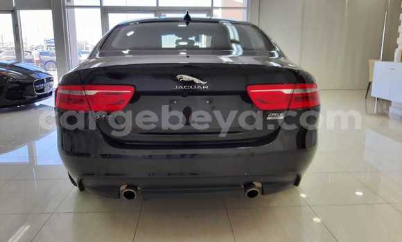Buy Used Jaguar XE Black Car in Addis–Ababa in Ethiopia Buy Used Jaguar XE Black Car in Addis–Ababa in Ethiopia