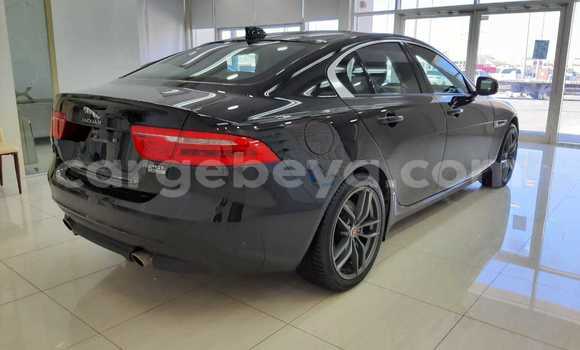 Buy Used Jaguar XE Black Car in Addis–Ababa in Ethiopia Buy Used Jaguar XE Black Car in Addis–Ababa in Ethiopia