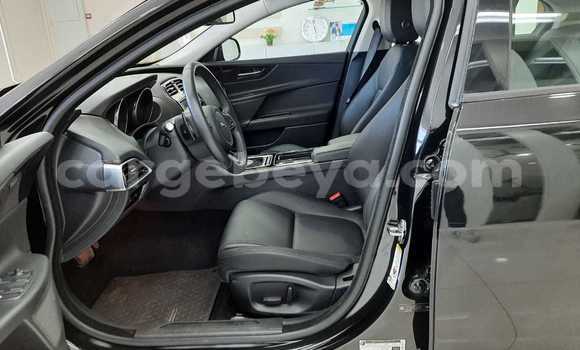 Buy Used Jaguar XE Black Car in Addis–Ababa in Ethiopia Buy Used Jaguar XE Black Car in Addis–Ababa in Ethiopia
