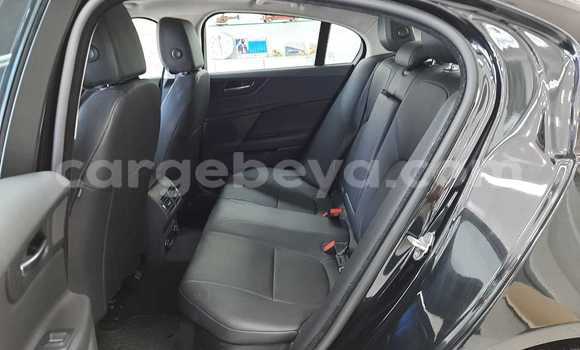 Buy Used Jaguar XE Black Car in Addis–Ababa in Ethiopia Buy Used Jaguar XE Black Car in Addis–Ababa in Ethiopia