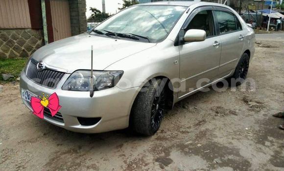 Buy Used Toyota Corolla Silver Car in Addis–Ababa in Ethiopia Buy Used Toyota Corolla Silver Car in Addis–Ababa in Ethiopia