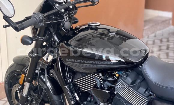 Buy Used Harley Davidson Street Black Bike in Addis–Ababa in Ethiopia Buy Used Harley Davidson Street Black Bike in Addis–Ababa in Ethiopia