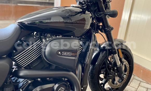 Buy Used Harley Davidson Street Black Bike in Addis–Ababa in Ethiopia Buy Used Harley Davidson Street Black Bike in Addis–Ababa in Ethiopia