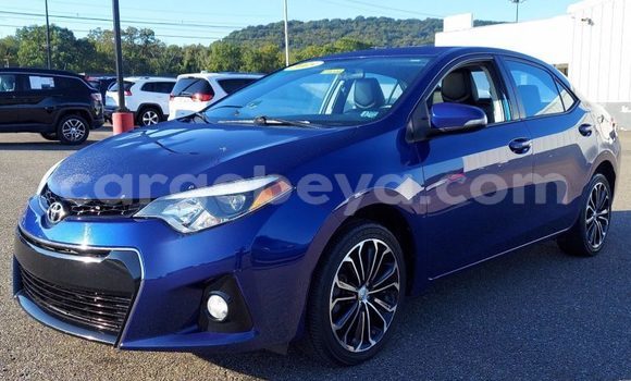 Buy Used Toyota Corolla Blue Car in Addis–Ababa in Ethiopia Buy Used Toyota Corolla Blue Car in Addis–Ababa in Ethiopia