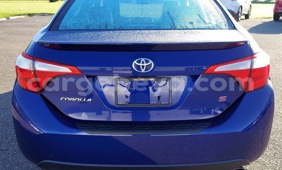 Buy Used Toyota Corolla Blue Car in Addis–Ababa in Ethiopia Buy Used Toyota Corolla Blue Car in Addis–Ababa in Ethiopia