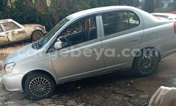 Acheter Occasion Voiture Toyota Platz Gris à Addis Ababa, Ethiopie Acheter Occasion Voiture Toyota Platz Gris à Addis Ababa, Ethiopie