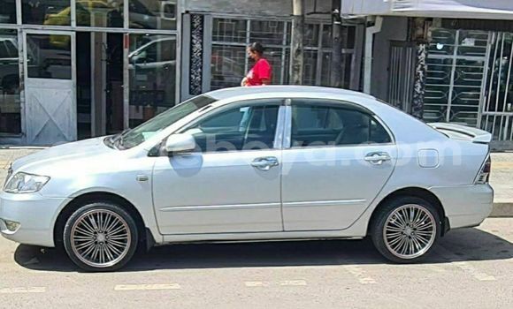 Acheter Occasion Voiture Toyota Corolla Gris à Addis Ababa, Ethiopie Acheter Occasion Voiture Toyota Corolla Gris à Addis Ababa, Ethiopie