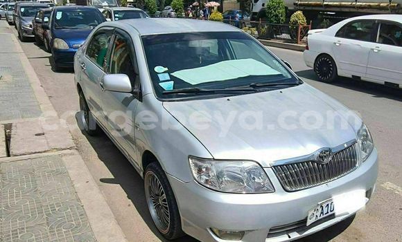 Acheter Occasion Voiture Toyota Corolla Gris à Addis Ababa, Ethiopie Acheter Occasion Voiture Toyota Corolla Gris à Addis Ababa, Ethiopie