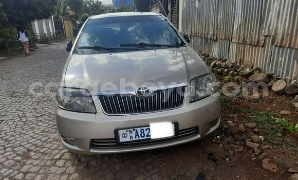 Acheter Occasion Voiture Toyota Corolla Beige à Addis Ababa, Ethiopie Acheter Occasion Voiture Toyota Corolla Beige à Addis Ababa, Ethiopie