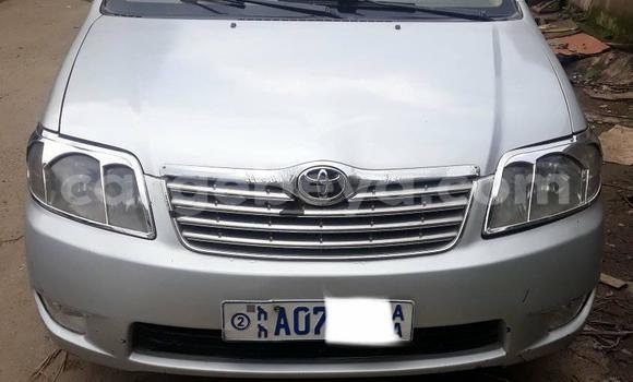 ይግዙ ያገለገለ Toyota Corolla ብር መኪና በ አዲስ አበባ በ ኢትዮጵያ ይግዙ ያገለገለ Toyota Corolla ብር መኪና በ አዲስ አበባ በ ኢትዮጵያ