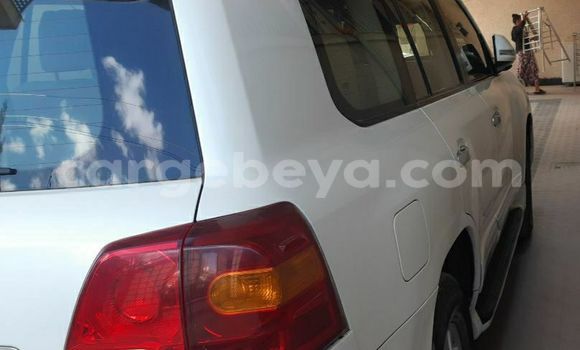 ይግዙ ያገለገለ Toyota Land Cruiser ነጭ መኪና በ አዲስ አበባ በ ኢትዮጵያ ይግዙ ያገለገለ Toyota Land Cruiser ነጭ መኪና በ አዲስ አበባ በ ኢትዮጵያ