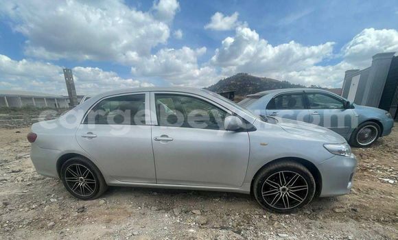 ይግዙ ያገለገለ Toyota Corolla ሌላ መኪና በ አዲስ አበባ በ ኢትዮጵያ ይግዙ ያገለገለ Toyota Corolla ሌላ መኪና በ አዲስ አበባ በ ኢትዮጵያ