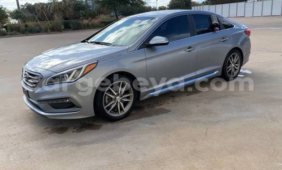 Acheter Import Voiture Hyundai Sonata Gris à Addi Ark'ay, Amhara Acheter Import Voiture Hyundai Sonata Gris à Addi Ark'ay, Amhara