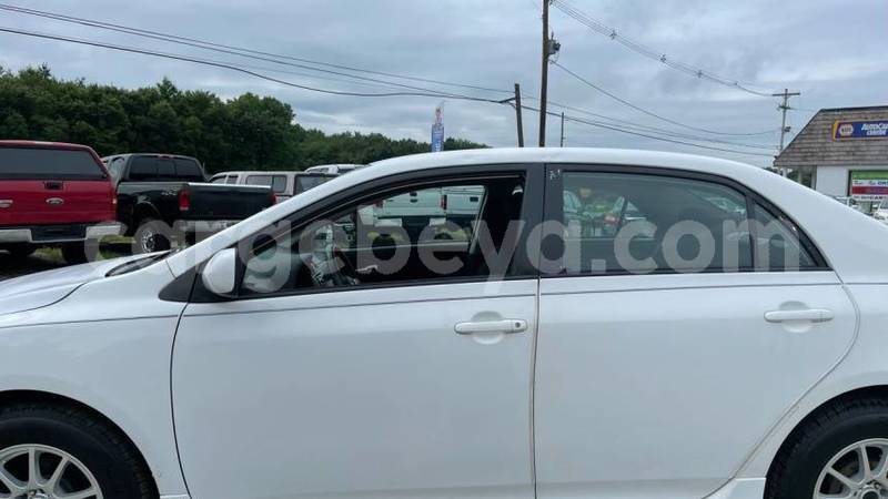 Big with watermark toyota corolla tigray addigrat 9110