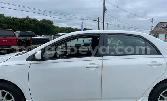 Acheter Import Voiture Toyota Corolla Blanc à Addigrat, Tigray Acheter Import Voiture Toyota Corolla Blanc à Addigrat, Tigray
