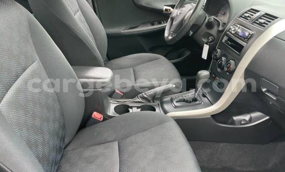 Acheter Import Voiture Toyota Corolla Blanc à Addigrat, Tigray Acheter Import Voiture Toyota Corolla Blanc à Addigrat, Tigray