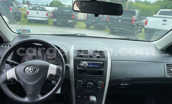 Acheter Import Voiture Toyota Corolla Blanc à Addigrat, Tigray Acheter Import Voiture Toyota Corolla Blanc à Addigrat, Tigray
