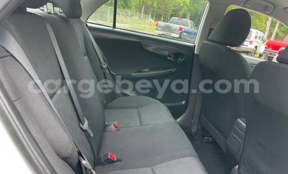 Acheter Import Voiture Toyota Corolla Blanc à Addigrat, Tigray Acheter Import Voiture Toyota Corolla Blanc à Addigrat, Tigray