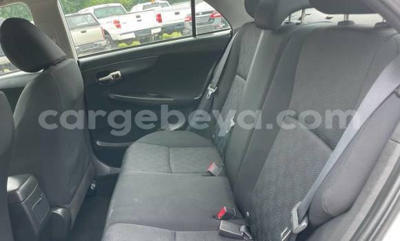 Acheter Import Voiture Toyota Corolla Blanc à Addigrat, Tigray Acheter Import Voiture Toyota Corolla Blanc à Addigrat, Tigray