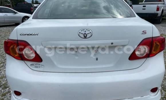 Acheter Import Voiture Toyota Corolla Blanc à Addigrat, Tigray Acheter Import Voiture Toyota Corolla Blanc à Addigrat, Tigray