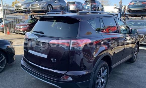 Acheter Import Voiture Toyota RAV4 Marron à Adet, Amhara Acheter Import Voiture Toyota RAV4 Marron à Adet, Amhara