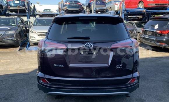 Acheter Import Voiture Toyota RAV4 Marron à Adet, Amhara Acheter Import Voiture Toyota RAV4 Marron à Adet, Amhara