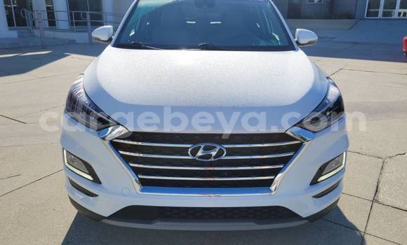 Acheter Import Voiture Hyundai Tucson Blanc à Addis Zemen, Amhara Acheter Import Voiture Hyundai Tucson Blanc à Addis Zemen, Amhara