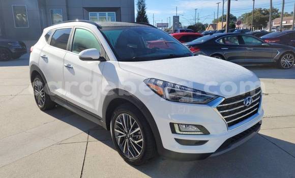 Acheter Import Voiture Hyundai Tucson Blanc à Addis Zemen, Amhara Acheter Import Voiture Hyundai Tucson Blanc à Addis Zemen, Amhara