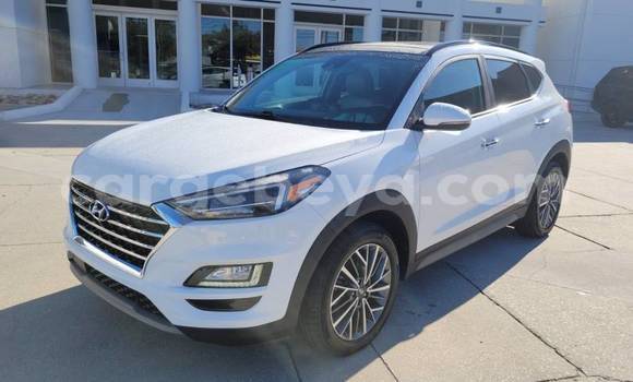 Acheter Import Voiture Hyundai Tucson Blanc à Addis Zemen, Amhara Acheter Import Voiture Hyundai Tucson Blanc à Addis Zemen, Amhara