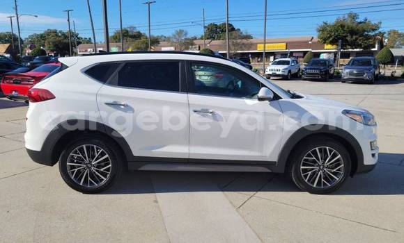 Acheter Import Voiture Hyundai Tucson Blanc à Addis Zemen, Amhara Acheter Import Voiture Hyundai Tucson Blanc à Addis Zemen, Amhara