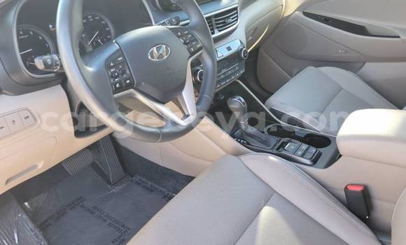 Acheter Import Voiture Hyundai Tucson Blanc à Addis Zemen, Amhara Acheter Import Voiture Hyundai Tucson Blanc à Addis Zemen, Amhara