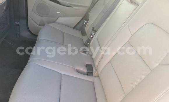 Acheter Import Voiture Hyundai Tucson Blanc à Addis Zemen, Amhara Acheter Import Voiture Hyundai Tucson Blanc à Addis Zemen, Amhara