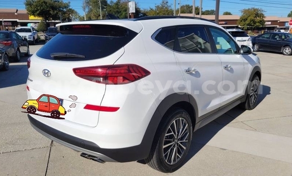 Acheter Import Voiture Hyundai Tucson Blanc à Addis Zemen, Amhara Acheter Import Voiture Hyundai Tucson Blanc à Addis Zemen, Amhara