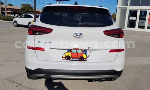 Acheter Import Voiture Hyundai Tucson Blanc à Addis Zemen, Amhara Acheter Import Voiture Hyundai Tucson Blanc à Addis Zemen, Amhara