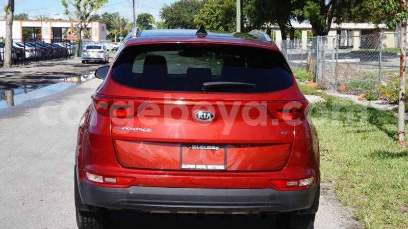 Big with watermark kia sportage ethiopia adigrat 9114