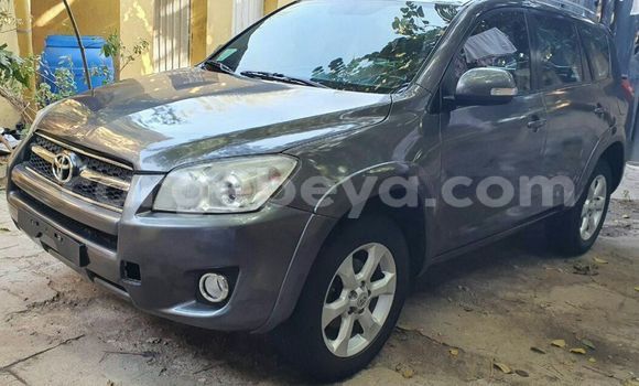 Buy Import Toyota RAV4 Beige Car in Addis–Ababa in Ethiopia Buy Import Toyota RAV4 Beige Car in Addis–Ababa in Ethiopia