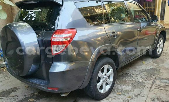 Buy Import Toyota RAV4 Beige Car in Addis–Ababa in Ethiopia Buy Import Toyota RAV4 Beige Car in Addis–Ababa in Ethiopia