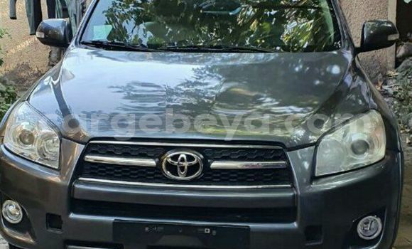 Buy Import Toyota RAV4 Beige Car in Addis–Ababa in Ethiopia Buy Import Toyota RAV4 Beige Car in Addis–Ababa in Ethiopia