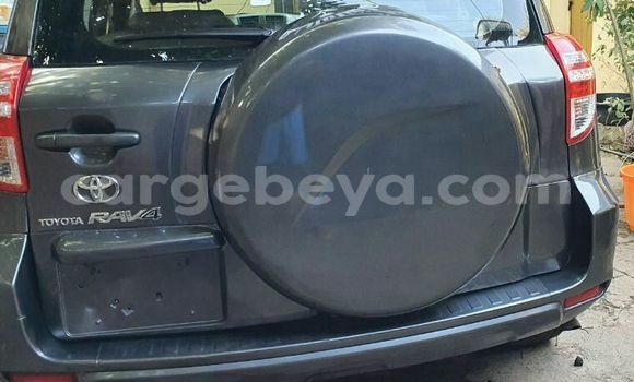Buy Import Toyota RAV4 Beige Car in Addis–Ababa in Ethiopia Buy Import Toyota RAV4 Beige Car in Addis–Ababa in Ethiopia