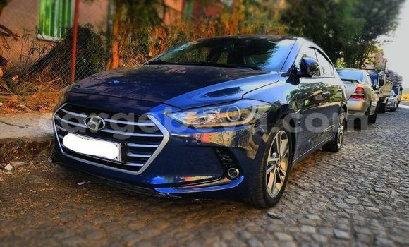 Buy Used Hyundai Avante Blue Car in Addis–Ababa in Ethiopia Buy Used Hyundai Avante Blue Car in Addis–Ababa in Ethiopia