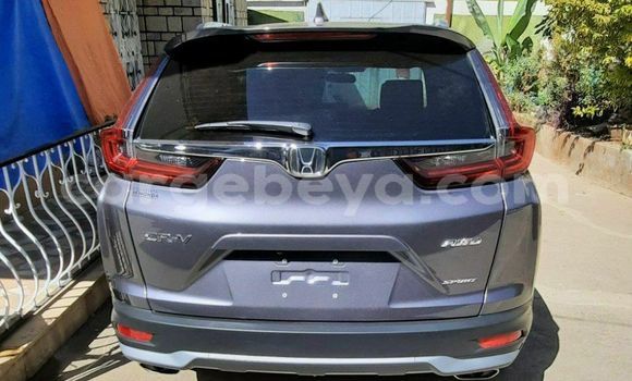 Buy New Honda CR–V Beige Car in Addis–Ababa in Ethiopia Buy New Honda CR–V Beige Car in Addis–Ababa in Ethiopia