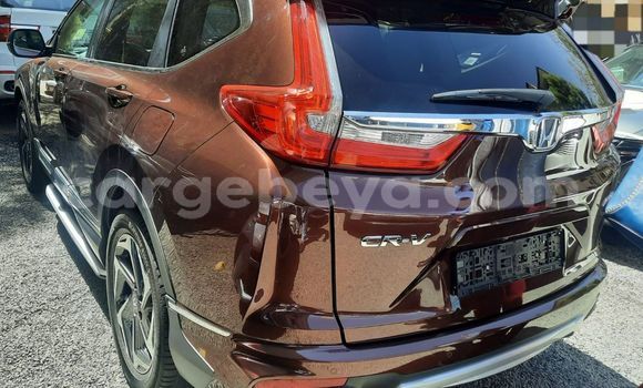 Buy New Honda CR–V Brown Car in Addis–Ababa in Ethiopia Buy New Honda CR–V Brown Car in Addis–Ababa in Ethiopia